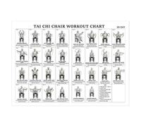 Affiche Illustrée de Tai Chi sur Chaise, Format 30x45 cm, Poster Facile à Afficher pour l'Exercice de Tai Chi, Décoration Murale Pliable pour Débutants et Seniors