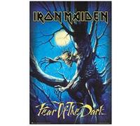 Grupo Erik - Poster Iron Maiden Fear Of The Dark - Deco Maison, Decoration Murale, Affiche Décorative