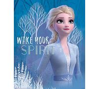 AFFICHE / La Reine des Neige 2 - Wake Your Spirit - 40x50cm Poster