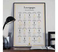 Affiche - Les cépages et leurs arômes dominants - 50 x 70 cm