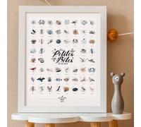 Affiche les petites bêtes de la mer