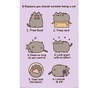 Affiche Maxi Pusheen Raisons d'?tre un chat G