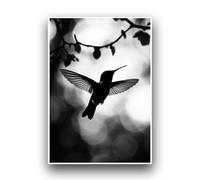 Affiche Minimaliste Colibri Capturé en Silhouette Noir et Blanc Décoration murale intérieur Poster A4