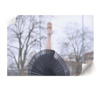 Affiche Mural 84x59,4 cm | Format A1 | Ballet élégant