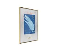Image encadrée Artgeist Poster et affiche - Alga Cyanotype - 20x30 (12464)