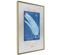 Affiche Murale Encadrée "Alga Cyanotype" 21 x 30 cm Or