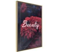 Poster et affiche - Beauty of the Flowers - 40x60 (14480)