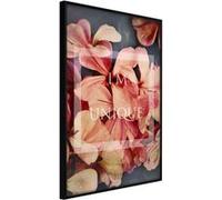 Affiche Murale Encadrée "Believe It" 30 x 42 cm Noir Multicolore G