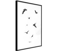 Affiche Murale Encadrée "Birds" 21 x 30 cm Noir Multicolore G