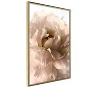 Affiche Murale Encadrée "Bloom" 30 x 42 cm Or G