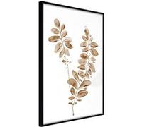 Affiche Murale Encadrée Botanical Watercolour 30 x 42 cm Noir