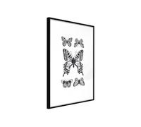 Affiche Murale Encadrée "Butterfly Collection IV" 21 x 30 cm Noir