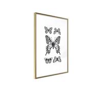 Affiche Murale Encadrée "Butterfly Collection IV" 21 x 30 cm Or