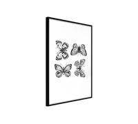 Affiche Murale Encadrée "Butterfly Collection IV" 30 x 42 cm Noir
