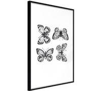 Affiche Murale Encadrée "Butterfly Collection IV" 30 x 42 cm Noir