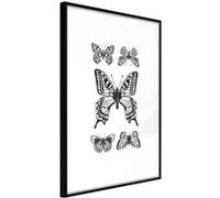 Affiche Murale Encadrée "Butterfly Collection IV" 30 x 42 cm Noir