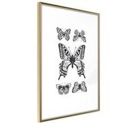 Affiche Murale Encadrée "Butterfly Collection IV" 30 x 42 cm Or