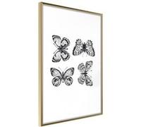 Affiche Murale Encadrée "Butterfly Collection IV" 40 x 60 cm Or Multicolore G