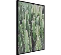 Affiche Murale Encadrée "Cactus Plantation" 21 x 30 cm Noir NOIR G