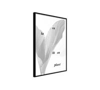 Poster et affiche - Calathea Leaves - 40x60 Artgeist (16068) NOIR