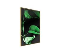 Affiche Murale Encadrée Calm After the Storm 30 x 42 cm Or