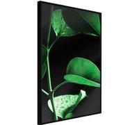 Affiche Murale Encadrée "Calm After the Storm" 40 x 60 cm Noir Multicolore G