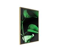 Poster et affiche - Calm After the Storm - 40x60 Artgeist (16088)