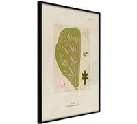 Affiche Murale Encadrée Cross Section of a Leaf 21 x 30 cm Noir NOIR