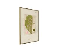 Affiche Murale Encadrée Cross Section of a Leaf 21 x 30 cm Or