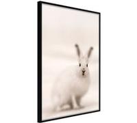 Affiche Murale Encadrée "Curious Rabbit" 21 x 30 cm Noir