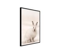 Affiche Murale Encadrée Curious Rabbit 30 x 42 cm Noir