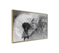 Poster et affiche - Dandelion in the Wind - 30x20 Artgeist (18560) https://www.fnac.com/mp46786447/Paris-Prix-Affiche-Murale-Encadree-dandelion-In-The-Wind-30-X-20-Cm-Or/w-4?oref=3d448230-4b49-57ab-e6ef-f9eaa4505917