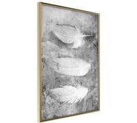 Poster et affiche - Delicate Feathers - 30x45 Artgeist (18818)