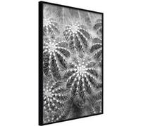 Poster et affiche - Do Not Touch - 30x45 Artgeist (19182) NOIR