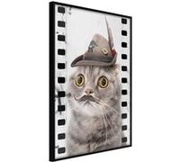 Poster et affiche - Dressed Up Cat - 20x30 (19428)