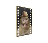 Poster et affiche - Dressed Up Monkey - 20x30 (19448)