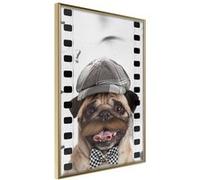 Affiche Murale Encadrée "Dressed Up Pug" 40 x 60 cm Or Multicolore G