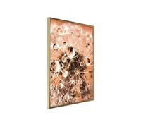 Affiche Murale Encadrée Drops on Dandelion 30 x 42 cm Or