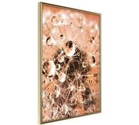 Affiche Murale Encadrée Drops on Dandelion 30 x 42 cm Or