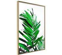 Affiche Murale Encadrée "Emerald Palm" 30 x 42 cm Or G