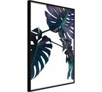 Affiche Murale Encadrée "Evergreen Monstera" 40 x 60 cm Noir Multicolore G