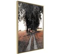 Affiche Murale Encadrée "Field Path" 30 x 42 cm Or G