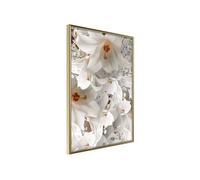 Poster et affiche - Floras Mess - 20x30 Artgeist (21086)