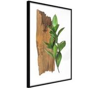 Affiche Murale Encadrée "Forest Bouquet" 21 x 30 cm Noir Multicolore G