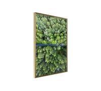 Poster et affiche - Forest from a Bird's Eye View - 30x45 (21608)