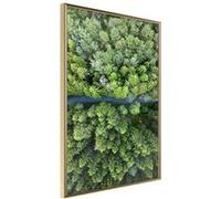 Poster et affiche - Forest from a Bird's Eye View - 30x45 (21608)