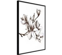 Affiche Murale Encadrée "Fragrant Decoration" 30 x 42 cm Noir NOIR G