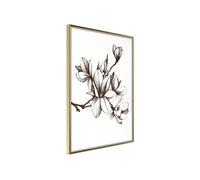 Poster et affiche - Fragrant Decoration - 30x45 Artgeist (21788)