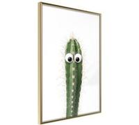Affiche Murale Encadrée "Funny Cactus I" 21 x 30 cm Or Multicolore G