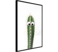 Affiche Murale Encadrée "Funny Cactus I" 40 x 60 cm Noir Multicolore G
